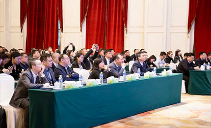 c7c7娱乐平台入口集团党委“书记带项目”工作阶段性进展汇报会成功召开